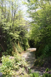 カルルス野宿の碑そば