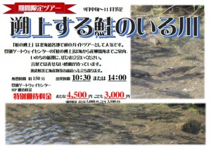 遡上する鮭のいる川